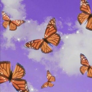 Meet your Posher, Amelia